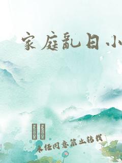 家庭乱日小说
