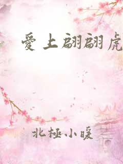 爱上翩翩虎少