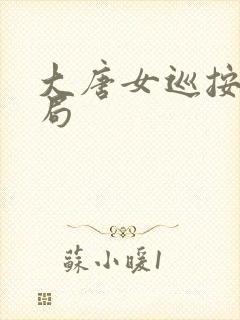 大唐女巡按大结局