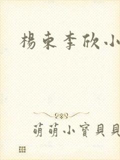 杨东李欣小说