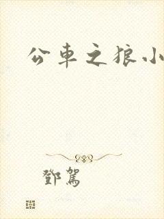公车之狼小说