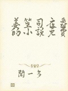 姜笙司夜爵顾念的小说免费阅读