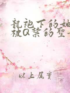龙袍下的她皇嫂被Q禁的圣女