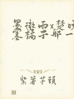 墨微雨x楚晚宁塞橘子哪一章