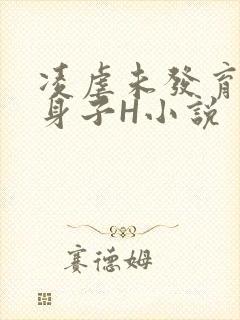 凌虐未发育的小身子H小说