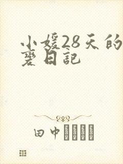 小媛28天的剧变日记