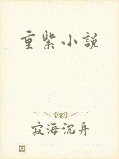 重紫小说