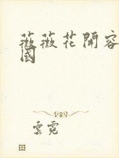 薇薇花开容颜倾国