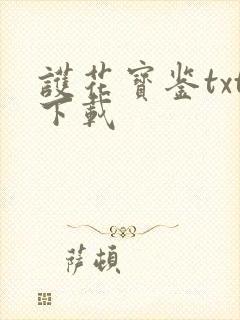 护花宝鉴txt下载