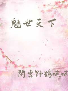 魅世天下