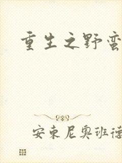 重生之野蛮盗贼