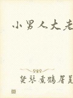 小男人大老婆