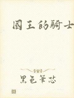 国王的骑士