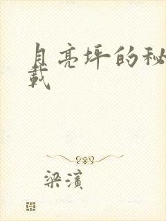 月亮坪的秘密下载