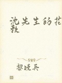 沈先生的花式调教