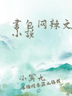 书包网辣文全本小说