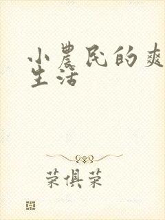 小农民的爽歪歪生活