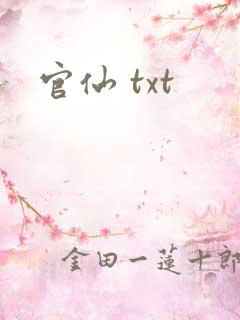 官仙 txt