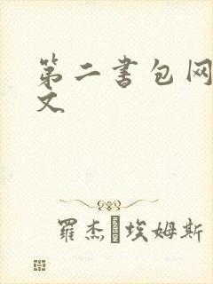第二书包网高辣文