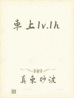 车上1v.1h
