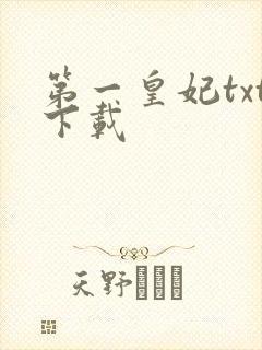 第一皇妃txt下载