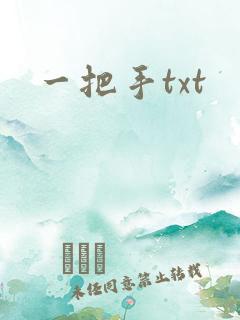 一把手txt
