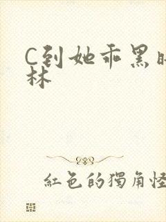 C到她乖黑暗森林