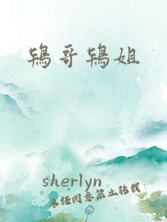 鸨哥鸨姐