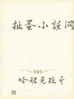 扯蛋小说网