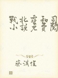 战北霆和司情的小说免费阅读