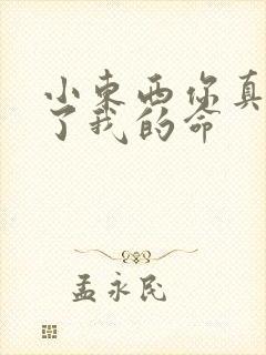 小东西你真能要了我的命