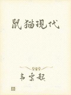 鼠猫现代