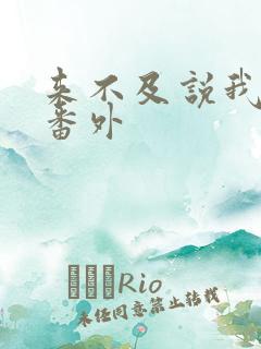 来不及说我爱你番外