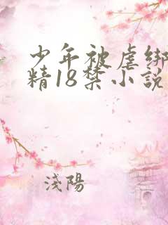 少年被虐绑着榨精18禁小说