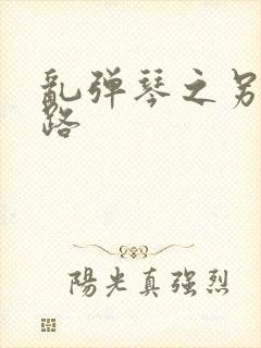 乱弹琴之另一条路