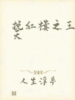 挽红楼之玉舞九天