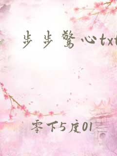 步步惊心txt