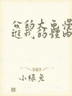 公的大龟慢慢挺进我的体内