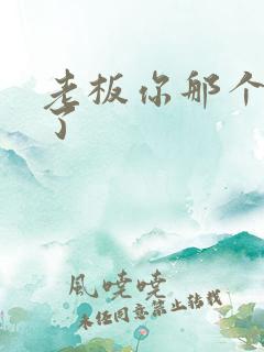 老板你那个太长了