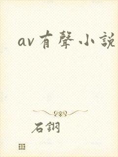 av有声小说