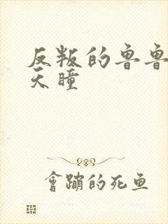 反叛的鲁鲁修之天瞳