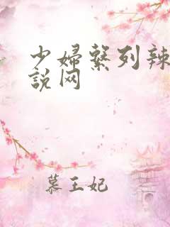 少妇系列辣文小说网