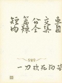 短篇公交车高h肉辣全集目录