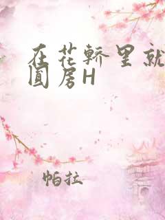 在花轿里就开始圆房H