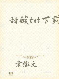 甜酸txt下载