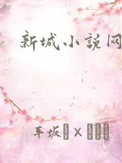 新城小说网