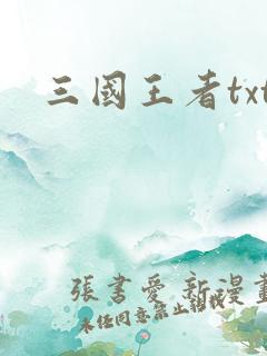三国王者txt