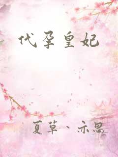 代孕皇妃