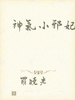 神气小邪妃