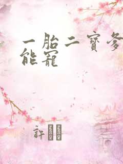 一胎二宝爹地超能宠